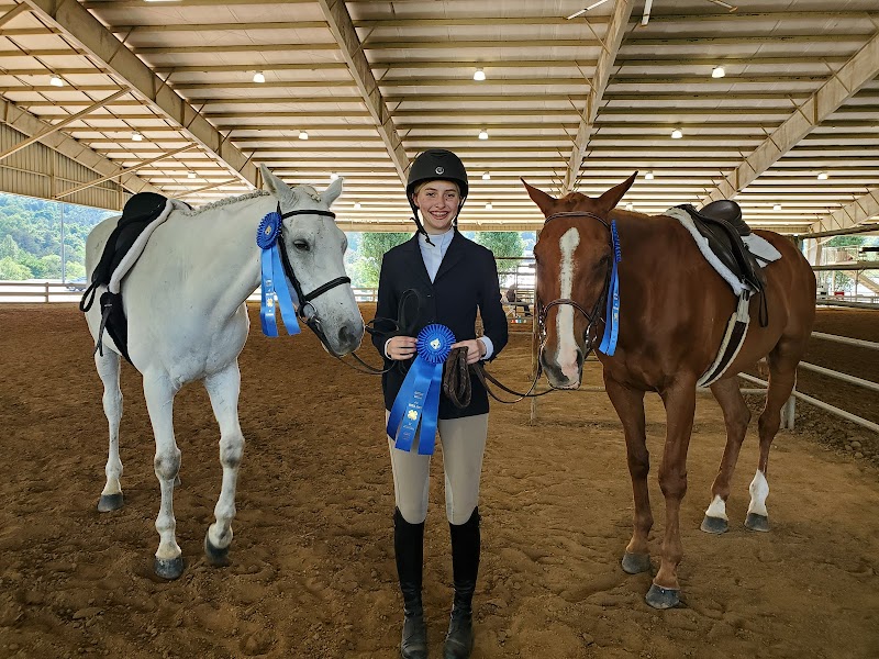 Weeping Willow Miniatures, LLC