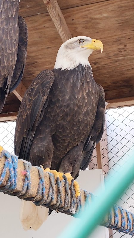 Tackapausha Nature Preserve