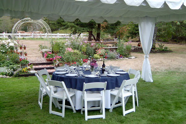 AZ Discount Party Rentals