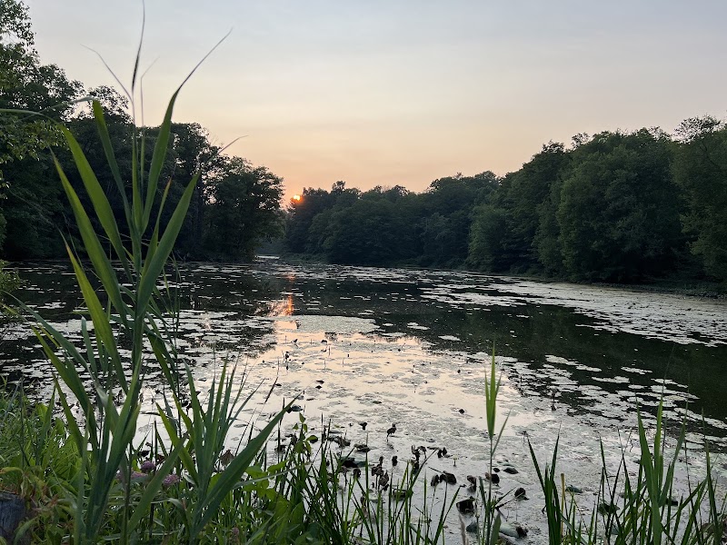 Branford Supply Pond Bird Sanctuary Island