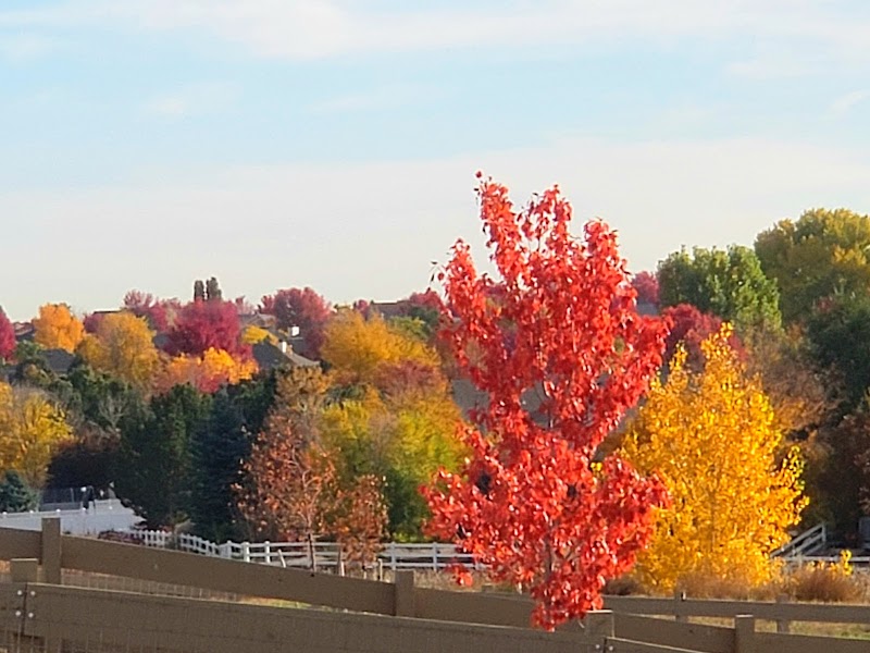 Hunter's Cove West Natural Area