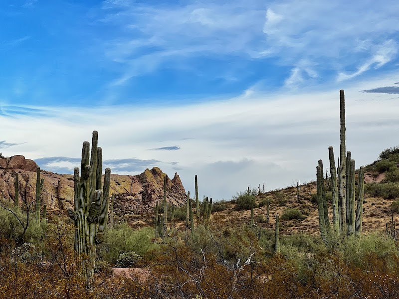 Blue Ridge Trailhead