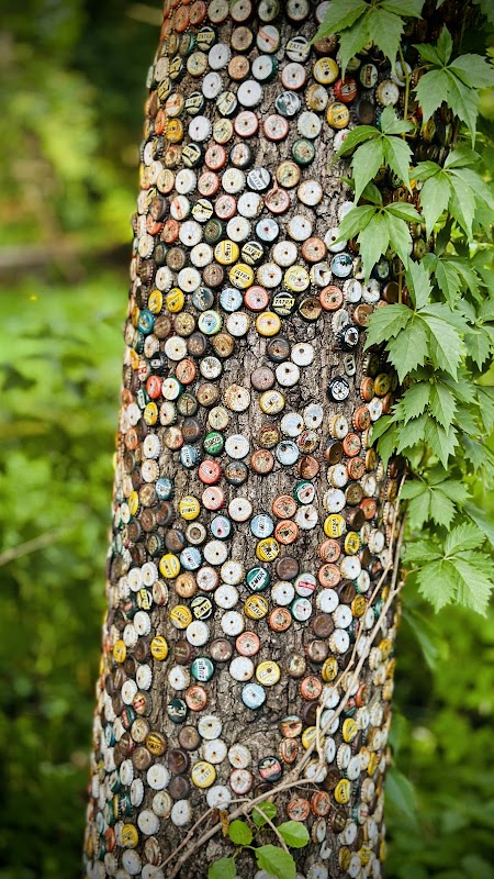 Publiczne Muzeum Kapsli