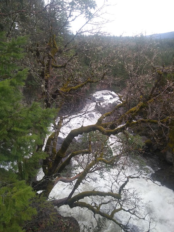 US Forestry Department
