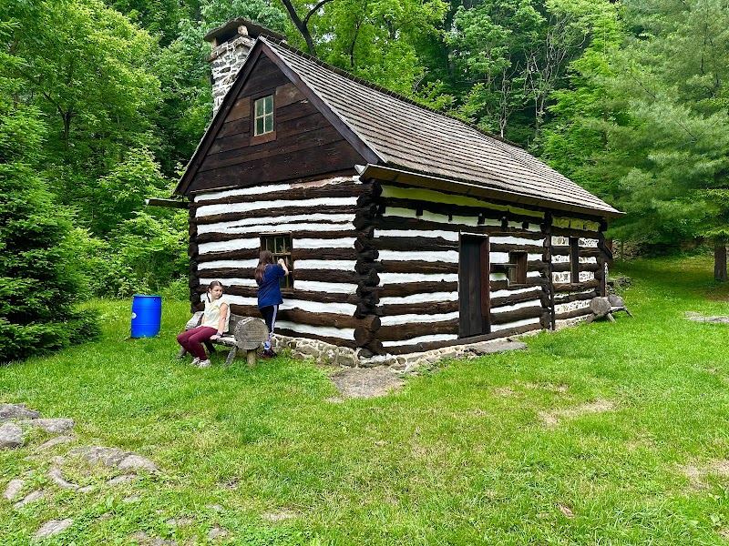 Friends of Swedish Cabin