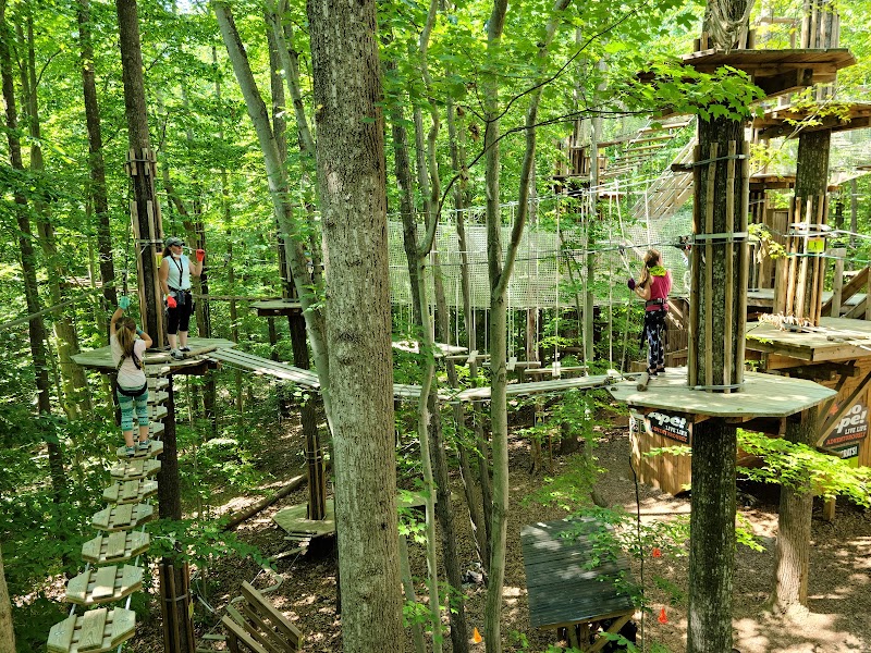 Go Ape Zipline and Adventure Park