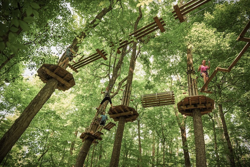 Go Ape Zipline and Adventure Park