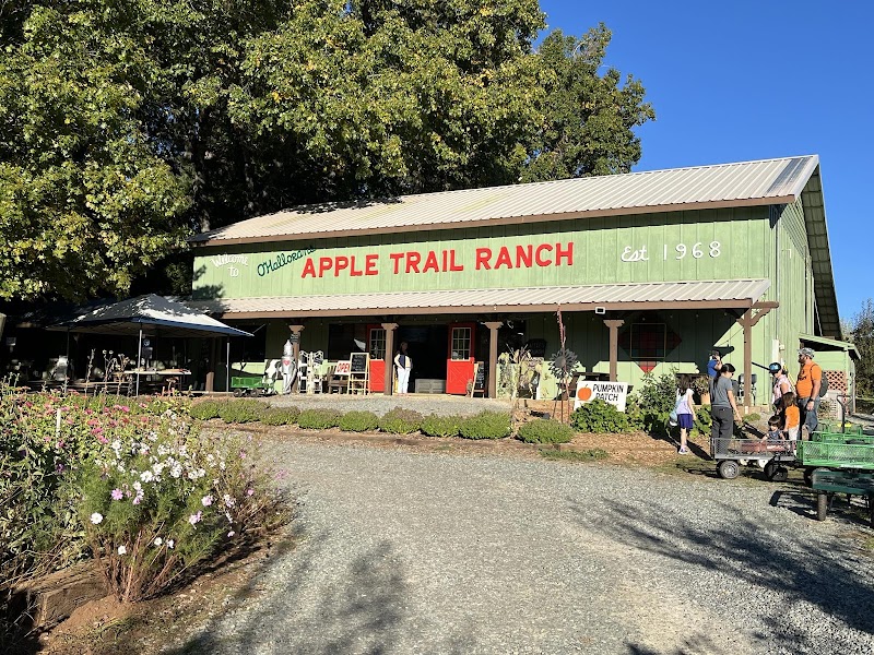 O'Hallorans Apple Trail - Apple Hill #18