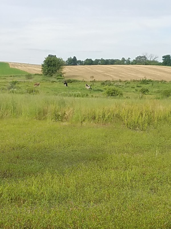 Centerport Borough Recreation Area