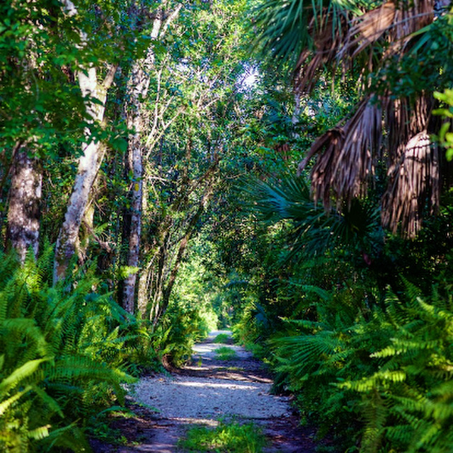 Friends of Fakahatchee