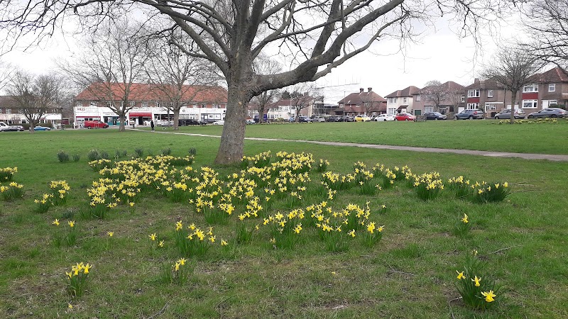 Oregon Square Open Space