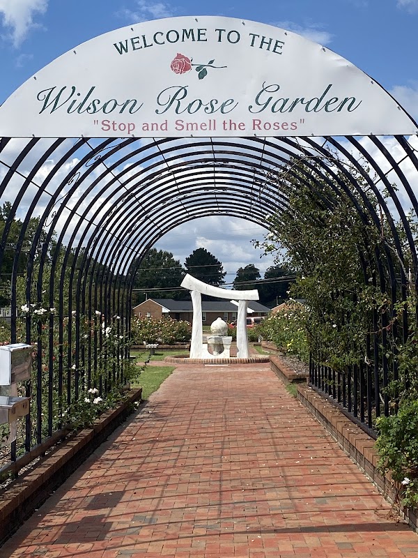 Wilson Rose Garden