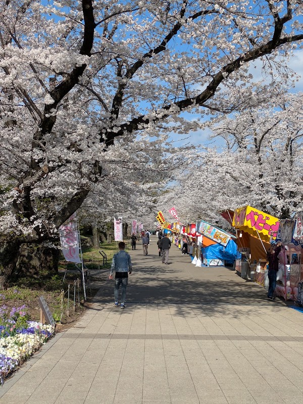 Fujimori Park