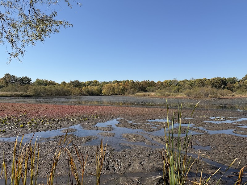 Walker Avenue Wetlands