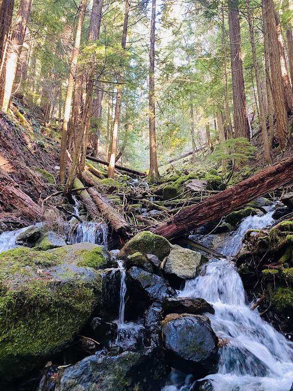 Upper Dalles Creek Falls