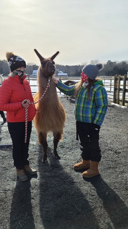 Second Wind Farm NE, LLC