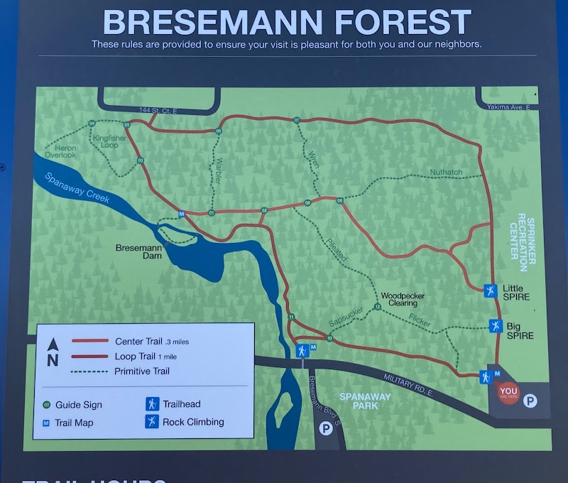 Bresemann Forest
