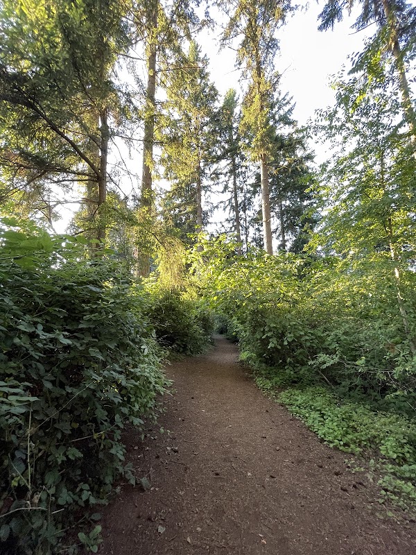 Viking Park, Off-leash Dog Park