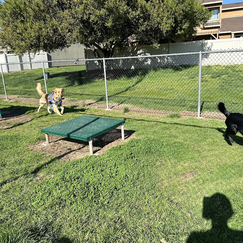 Dog Park O’Neill Heights