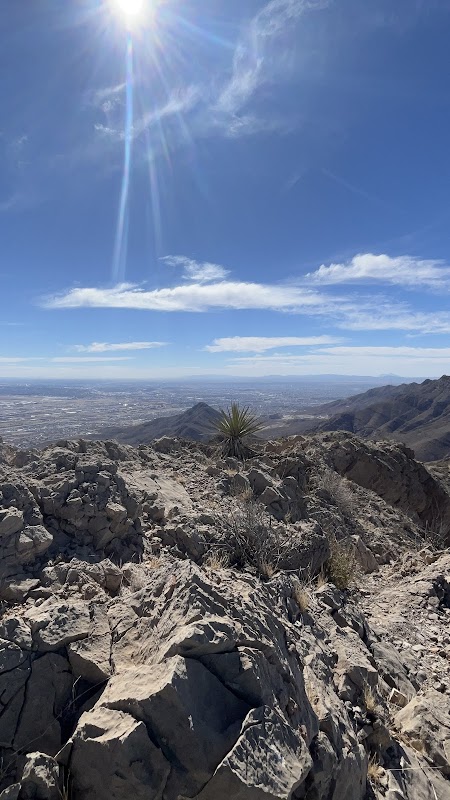 Scenic view