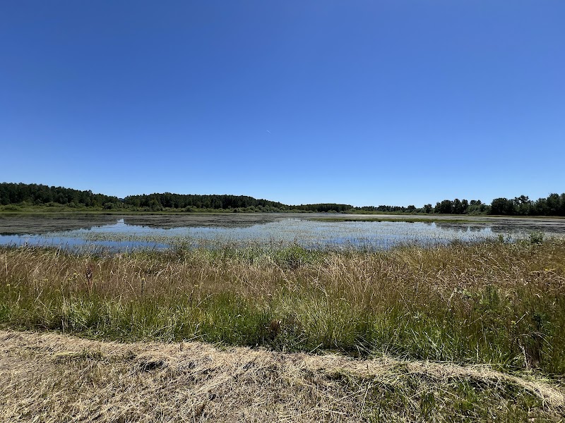 Eagle Marsh