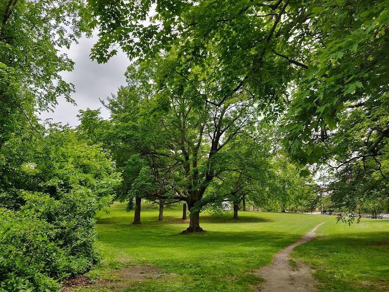 Institute Park