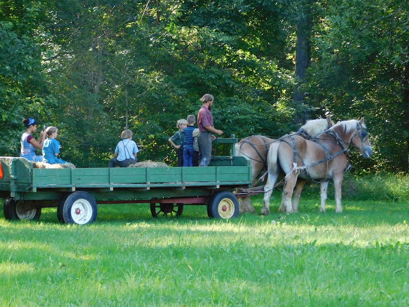 Pleasant Paradise Farm