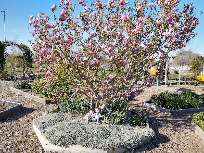 Rose Garden Picnic Shelter
