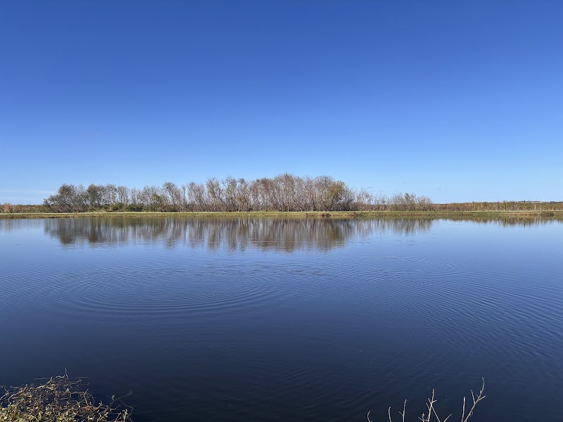 Lake Apopka Wildlife Drive - Exit