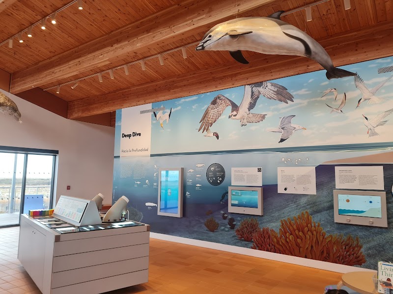 Jones Beach Energy & Nature Center