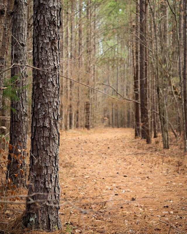 James Ross Wildlife Reservation