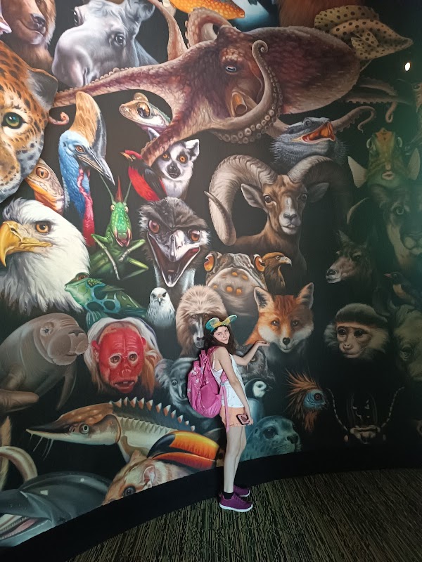 Conservation Station