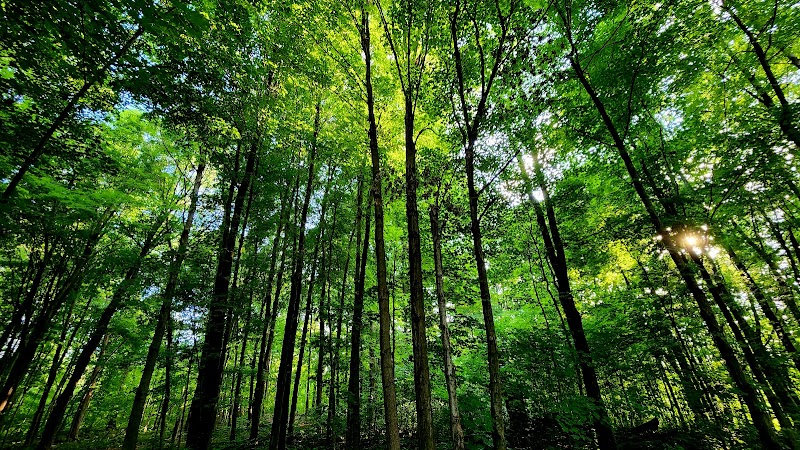 Stigler Nature Preserve