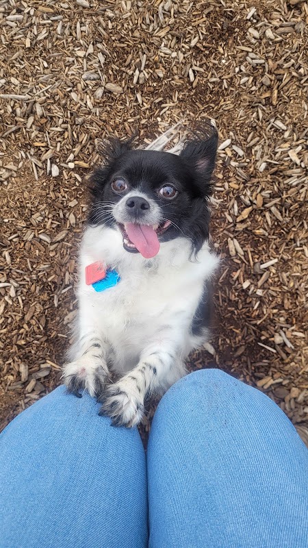 Kenneth M. Copeland Memorial Park