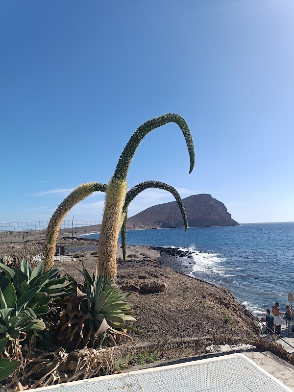 Cámara en vivo El Médano, Playa La Tejita