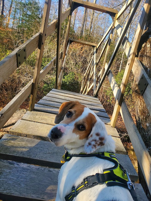 South Fork Quantico Creek Bridge