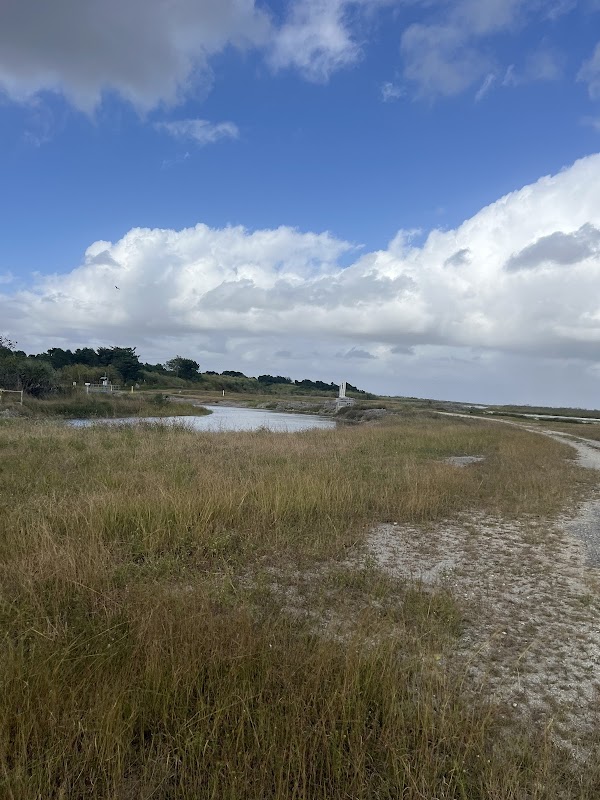 Rocky Glades Public Small Game Hunting Area