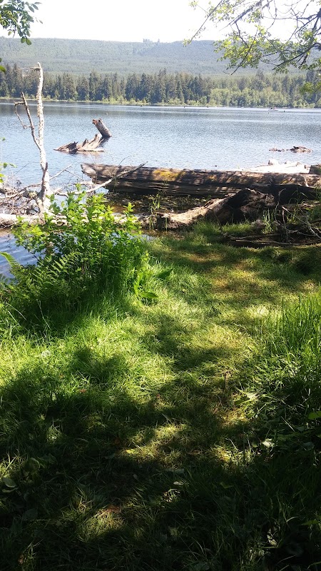 Kapowsin Lake Walking Trails Parking