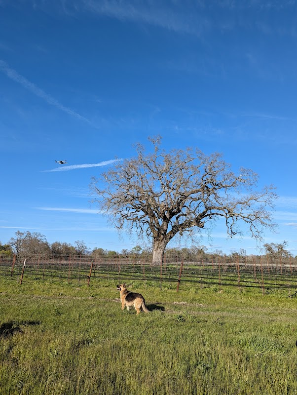 Laguna de Santa Rosa Foundation