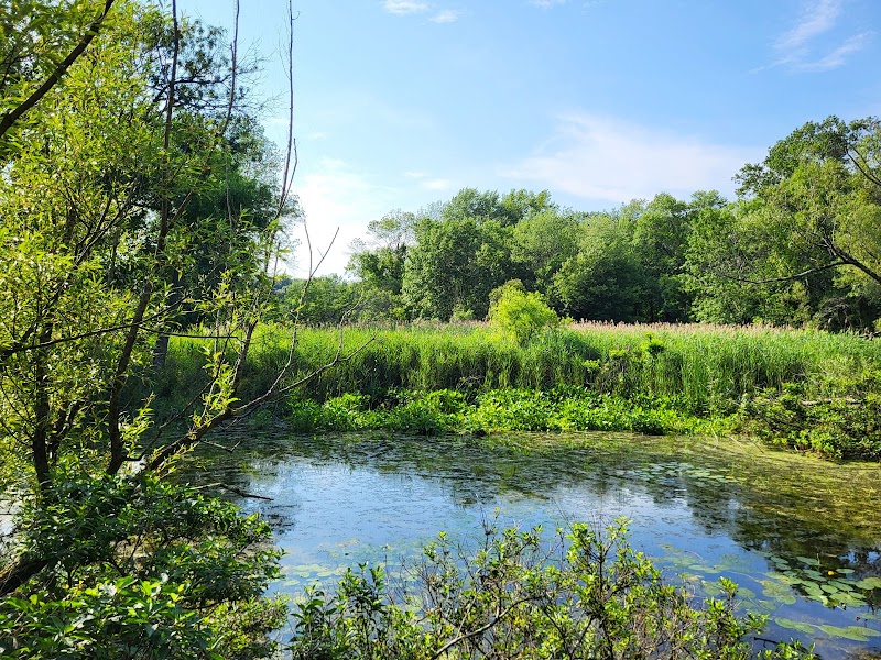 Valley Marsh Cumberland