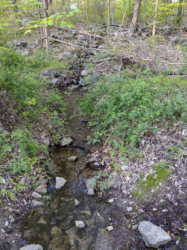 Veronica Geddes Bowen Nature Preserve
