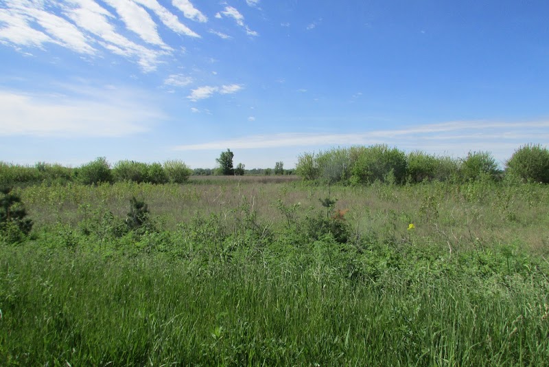 LaPorte Unit (Kankakee Fish & Wildlife Area)