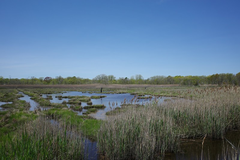 Seatuck National Wildlife Refuge
