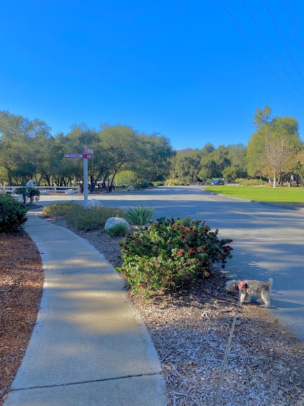 Live Oak Park in The Village
