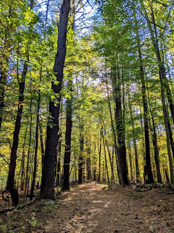 Middletown Reservoir Trails Main Parking