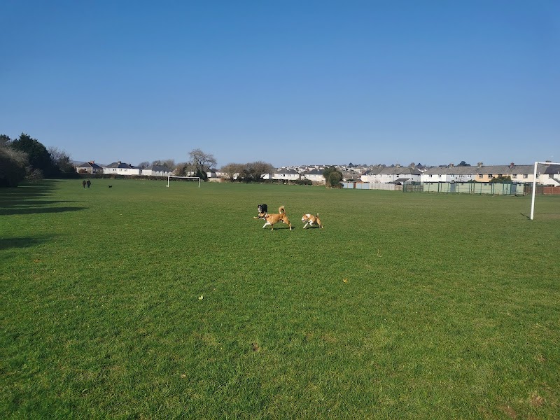 Great Western Ave Park and Playing Field