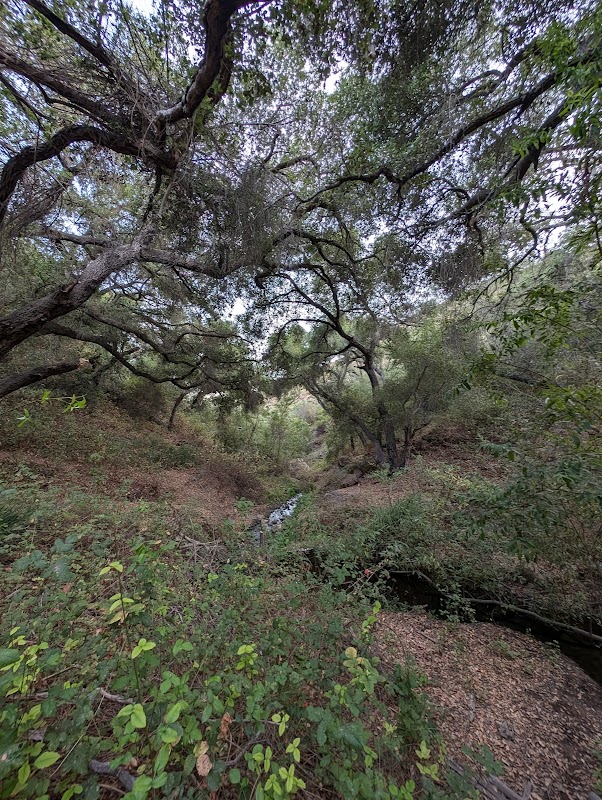 Sage Hill County Preserve