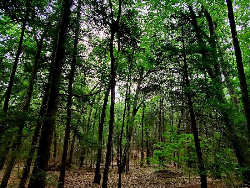 Wolfpit's Nature Preserve