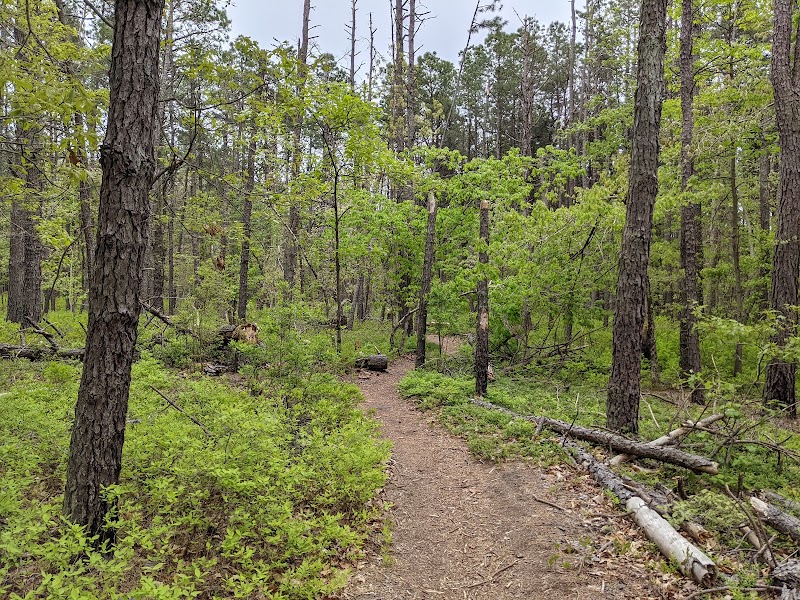 Phillips Park Trailhead