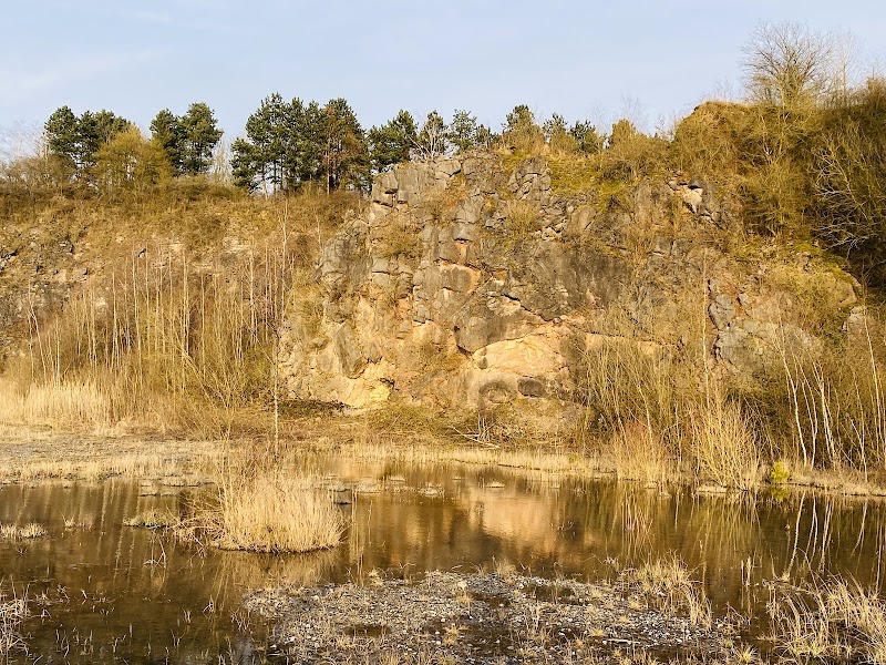 Réserve naturelle du Brun Chêne